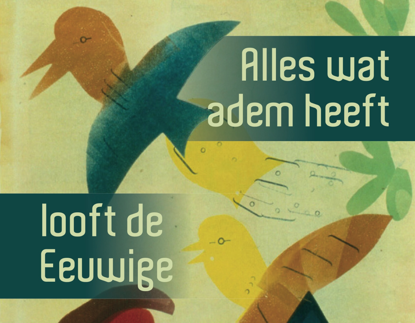 Nieuw boek Binjamin Heyl: 'Alles wat adem heeft looft de Eeuwige'
