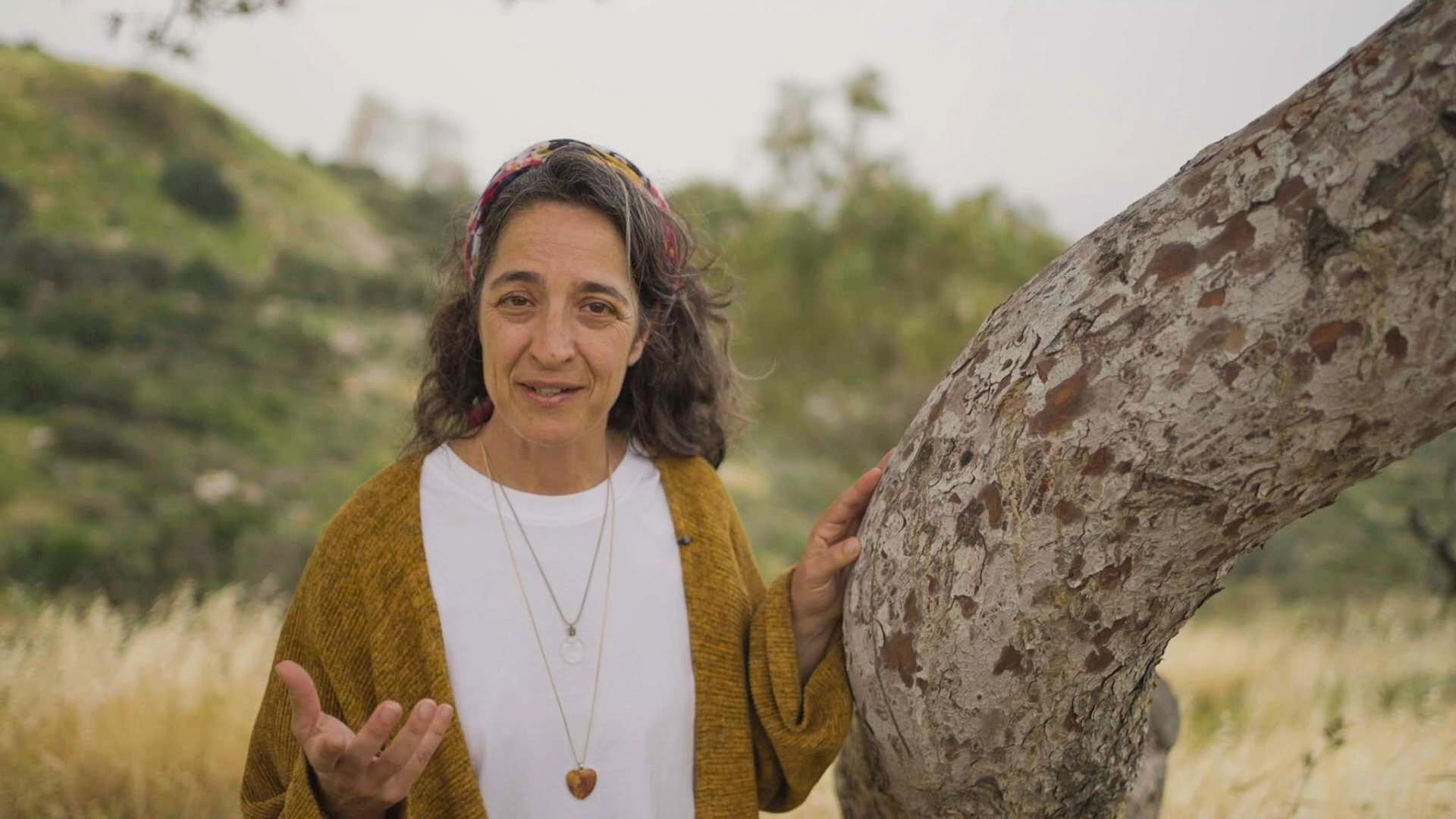 KRO-NCRV's Petrus in Israël en Palestina: dialoog en gerechtigheid